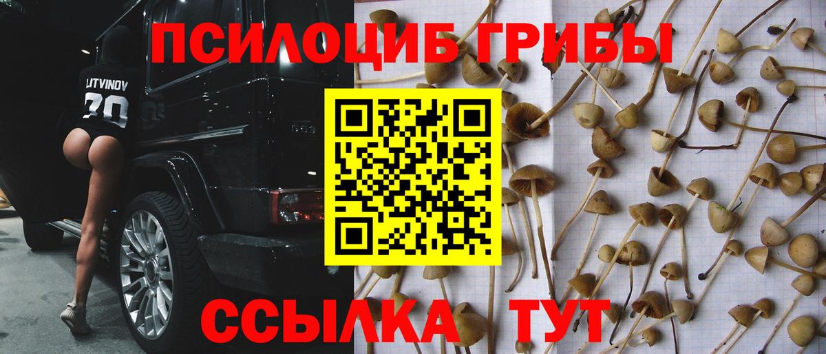 Галлюциногенные грибы прущие грибы  Вход с VPN  Миасс  Псилоцибиновые грибы GOLDEN TEACHER 