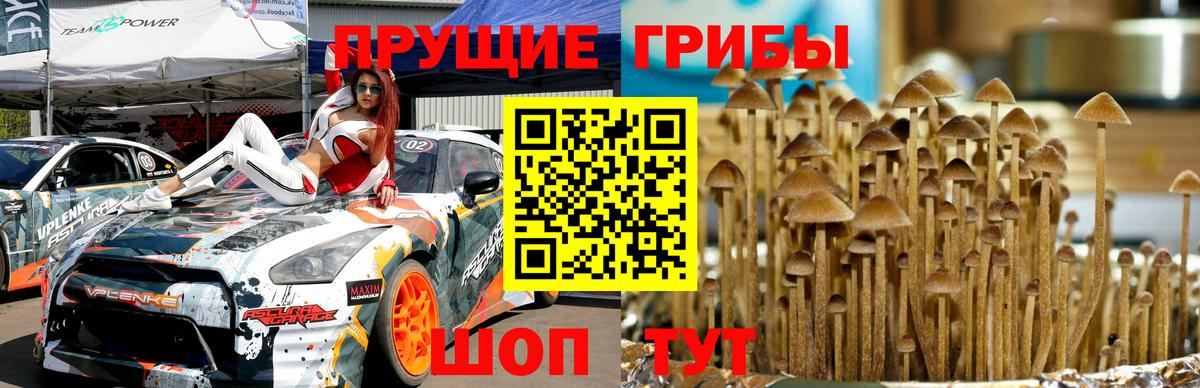 Галлюциногенные грибы мицелий Миасс